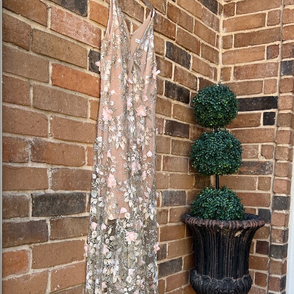 Dress the Population Blush Floral Embroidered Tulle Long Dress - Picture 10 of 16